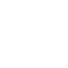 light logo